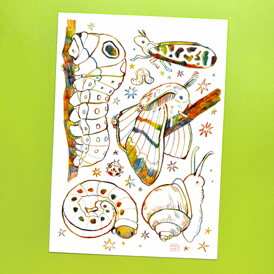 A5 Art Print | Rainbow Bug Friends